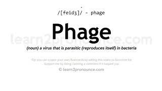 Pronunciation of Phage | Definition of Phage