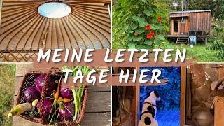  Umzugs-Vorbereitungen im Selbstversorger Garten und meiner Jurte VLOG 52