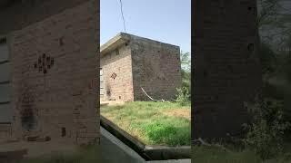 #garden