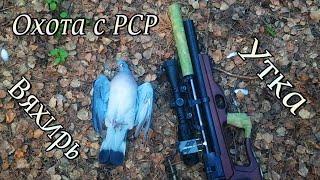 Весенняя охота с PCP пневматикой на утку и вяхиря. Готовлю завтрак из дичи и завариваю чагу.