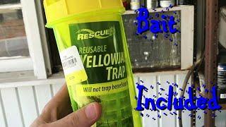 Rescue Reusable Yellow Jacket Trap Setup & Baiting for Capture