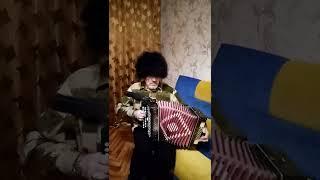 #shorts #песня шол казак на побывку домой #гармонь