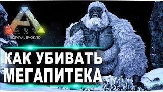 Босс мегапитек в АРК. Гайд по соло убийству босса гамма, бетта и альфа мегапитека в ARK