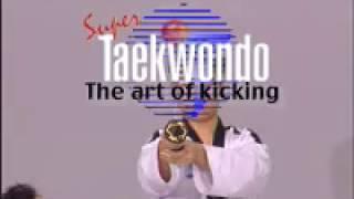 Super Taekwon-do