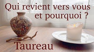 Taureau - Qui revient vers vous et pourquoi ? - Janvier 2025 - Tirage de tarot