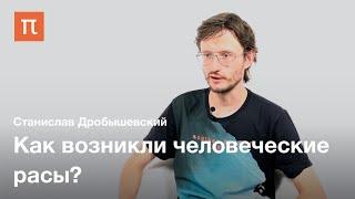 Происхождение человеческих рас — Станислав Дробышевский / ПостНаука