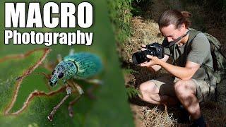 Creepy Crawly Photography Vlog - Sigma 105mm f/2.8 + Canon 7d mark ii