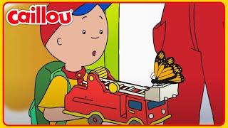 Butterüberraschung | Caillou auf Deutsch