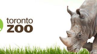 Toronto Zoo Full Tour | Complete Walkthrough of Ontario’s Largest Wildlife Sanctuary