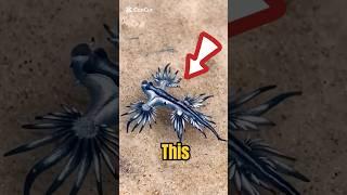 Venomous Don't Touch It  #viral