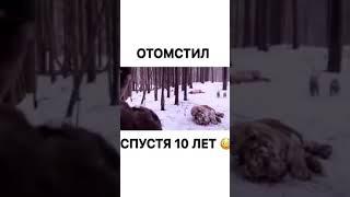 Видео до слез | Отомстил спустя 10 лет