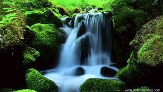 Four Seasons (Spring) ~ Antonio Vivaldi