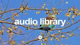 Palmtrees - The Brothers Records | No Copyright Music YouTube - Free Audio Library