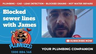 Replacing A Blocked Sewer Line And Reconnecting A Toilet - Plumbdog Plumbing Perth