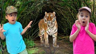 Educational Animal Video for Kids | Animal Camouflage | Hide and Seek with Animals by Atrin & Soren