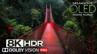 8K MAX RESOLUTION! Dolby Vision™ HDR COLORS (60 FPS) - Peaceful Relaxing Film