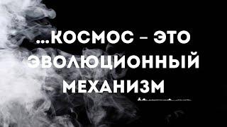 … космос – это эволюционный механизм