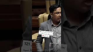 MPA Syed Ejaz ul haq
