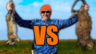 Nutria vs Rabbit Catch and Cook | Which Tastes Better?