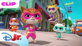 The Beauty Salon  | SuperKitties ⭐ | Disney Jr. MENA