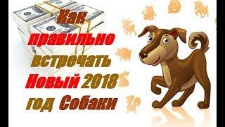 Как правильно встречать Новый 2018 год Собаки Желтой Земляной Собаки