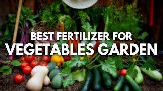 Best Fertilizer for Vegetables Garden - For Tasty and Organic Vegetables