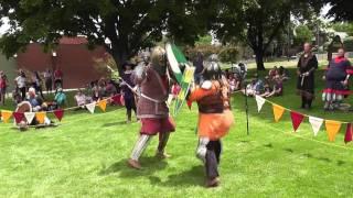 Sir Aethelred v Sir Rauokinn
