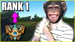 PANTS ARE BOOSTED ANIMAL - Challenger to RANK 1 - Ep. 20