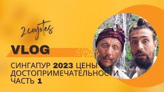 Сингапур 2023 Цены шок.Что посмотреть 100%