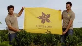 Coffee Island: Green Coffee Grading