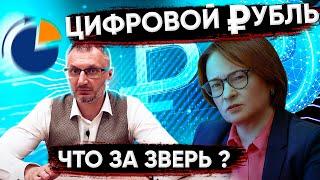 Цифровой рубль. Что за зверь? Как работает цифровой рубль и чем он отличается от безналичного рубля