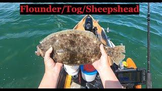 Fathers Day Multi Species - South Jersey Kayak Fishing / Flounder / Sheepshead / Tog