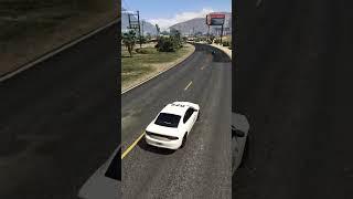 hes on fire! suspect stopped! #gta #gtaonline #gaming #fivem #comdy #fivemfunnymoments #raccoon
