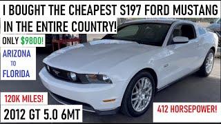 Buying the CHEAPEST S197 Ford Mustang 5.0 6MT in the COUNTRY! Best/Worst Road Trip Ever??? AZ to FL!