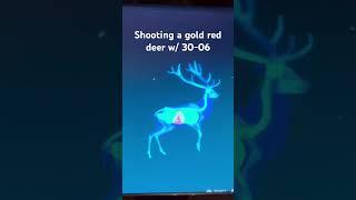 Shooting a gold red deer! #cotw #hcotw #hunting #kg #red_deer #gold