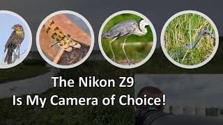 The Nikon Z9 is My Camera of Choice !