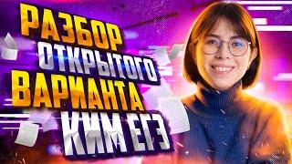 Разбор открытого варианта КИМ ЕГЭ 2023 по химии | Екатерина Строганова