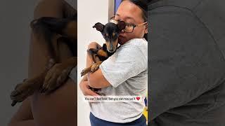 Trapped, Broken, Forgotten… But Not Anymore #lovedog #puppy #dog #rescue
