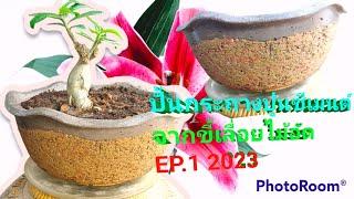 How to make a cement pot EP.1 2023