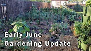 Early June Gardening Update - Lots of Growth Going On Right Now