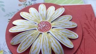 Tri-fold Shutter card using Delightful Daisy DSP- video #8