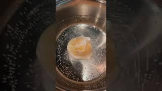 EGGS  POACHED #yum #food #chef #cooking #kitchenhacks #hacks #kitchenskills #learn #howto