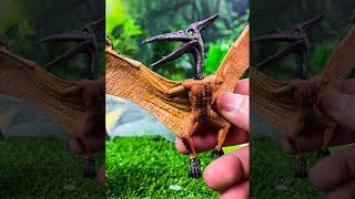 NEW Pterodactyl, Pteranodon, and Dimorphodon Dinosaurs! #Shorts