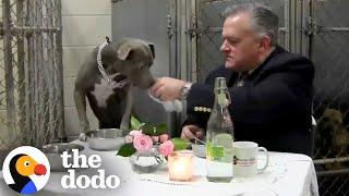 Vet Jumps In Kennel To Have Dinner With Scared Dog | The Dodo