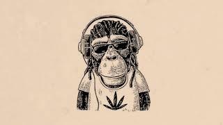 Monkey Instrumental Rap Instrumental