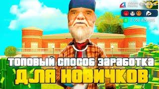 ЛУЧШИЙ СПОСОБ ЗАРАБОТКА на (Arizona RP в GTA SAMP)