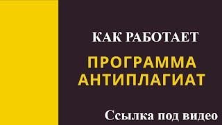 Как работает программа Антиплагиат