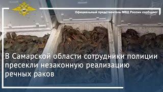 В Самарской области сотрудники полиции пресекли незаконную реализацию речных раков