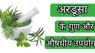 Ayurvedic Benefits Of Ardusa || अरडूसा के औषधीय गुण || Information Of Ardusa ||