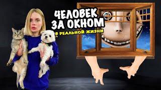 ЧЕЛОВЕК ЗА ОКНОМ В РЕАЛЬНОЙ ЖИЗНИ | ПРЯТКИ С КОТАМИ ЗА 5 минут